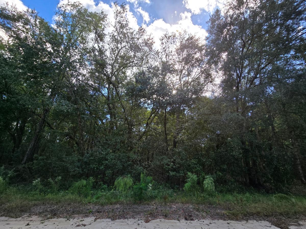 0.65 Acres for Sale in Interlachen, Florida