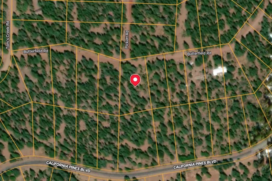 1.3 Acres for Sale in Alturas, California