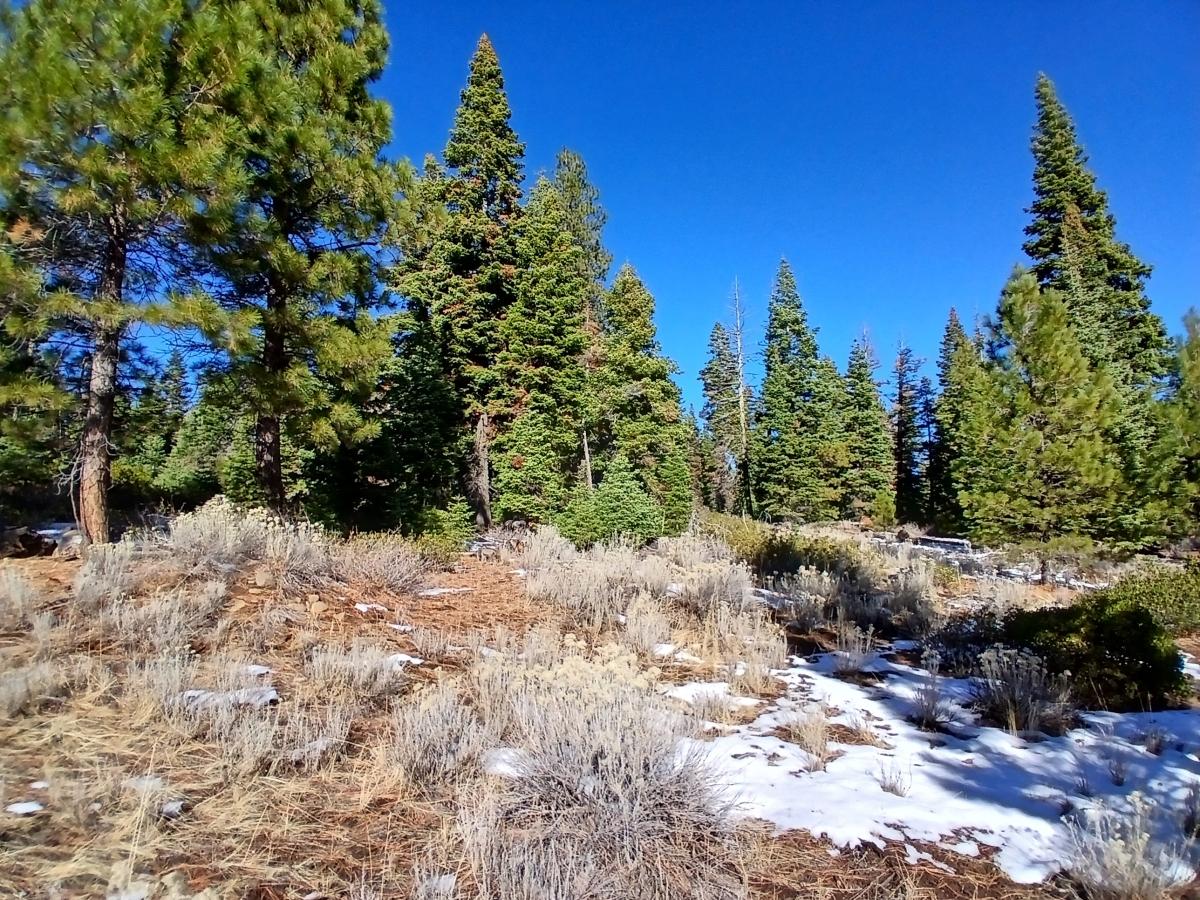 1.3 Acres for Sale in Alturas, California