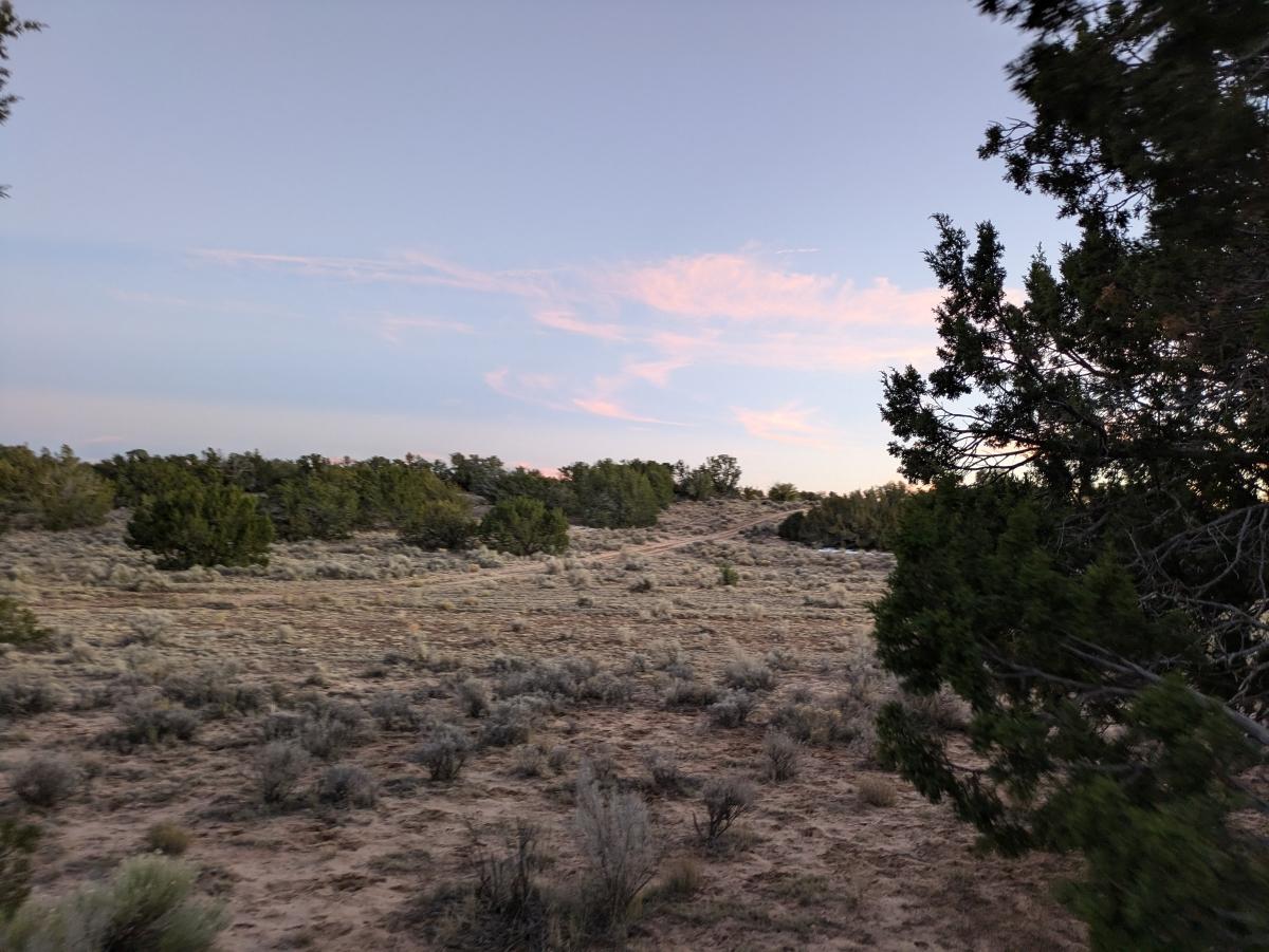 1.26 Acres for Sale in Chambers, Arizona