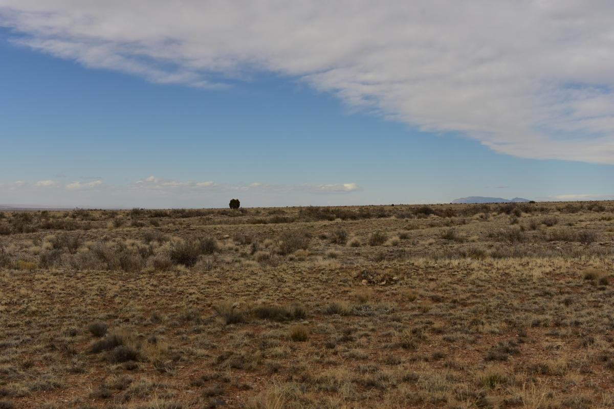 5.00 Acres for Sale in Bodega, New Mexico