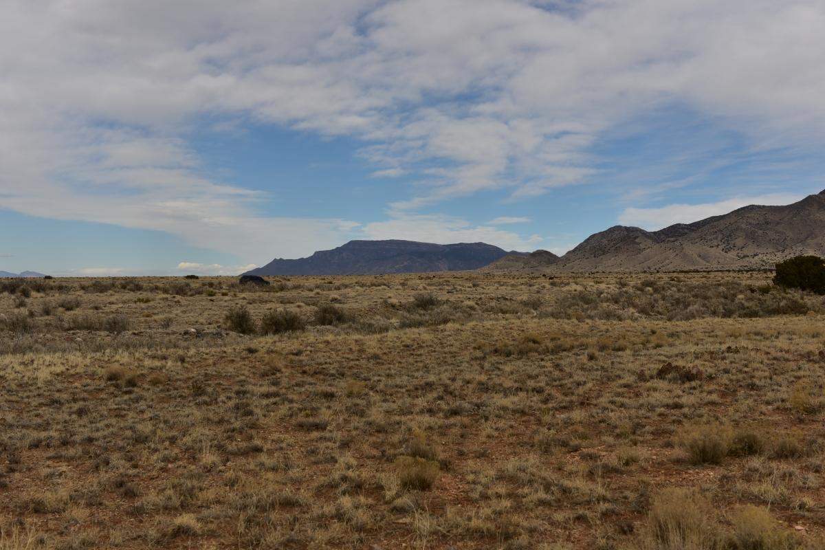 5.00 Acres for Sale in Bodega, New Mexico