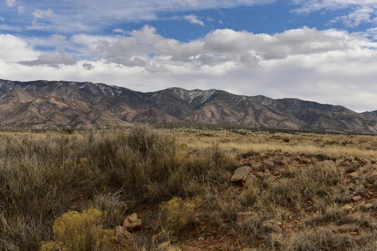 5.00 Acres for Sale in Bodega, New Mexico