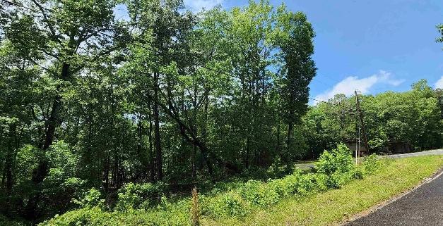 0.33 Acres for Sale in Fairfield Bay (Save 10% before 12/31/2024), Arkansas