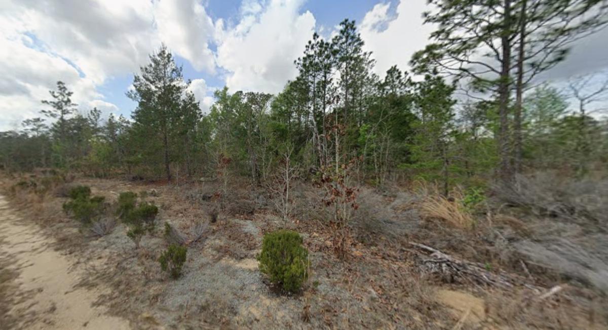 0.2 Acres for Sale in Interlachen, Florida