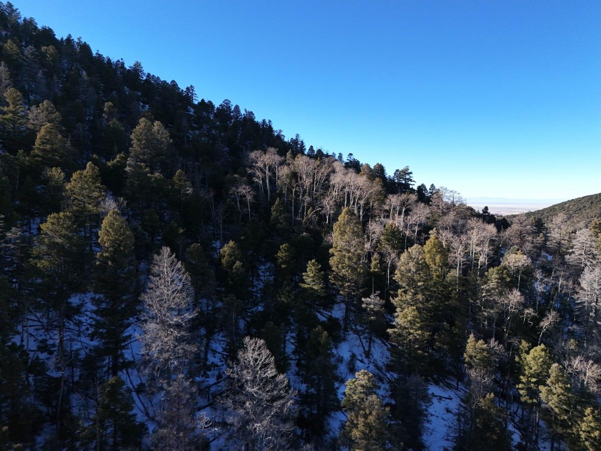 10.56 Acres for Sale in San Luis, Colorado