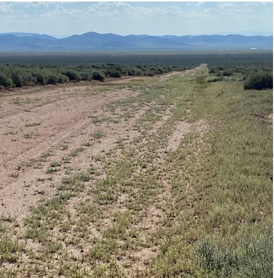 4.82 Acres for Sale in San Luis, Colorado