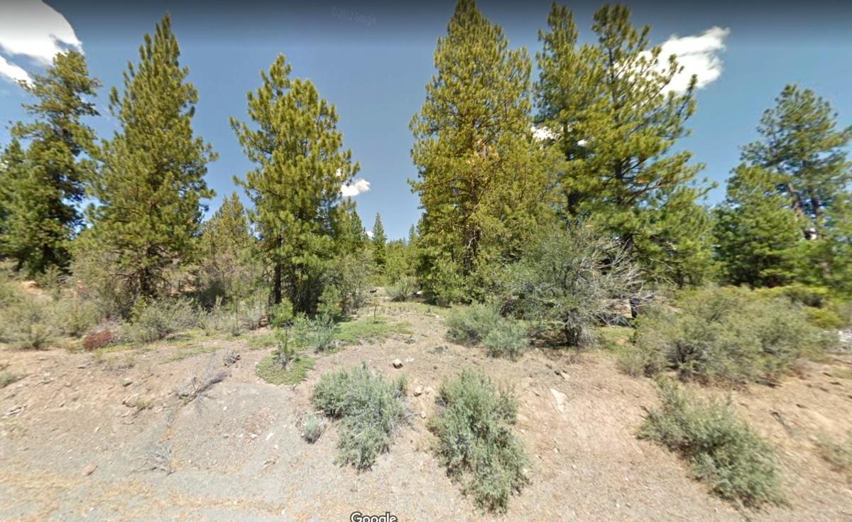 2.19 Acres for Sale in Bonanza, Oregon