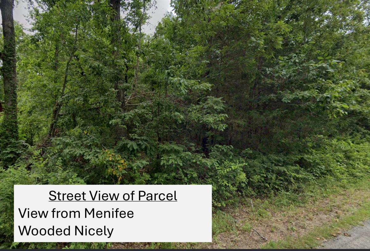 0.32 Acres for Sale in Cherokee Village, Arkansas
