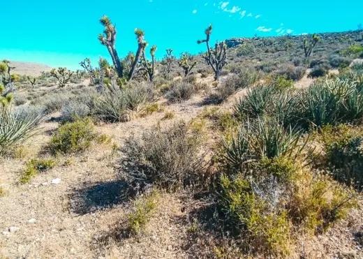 1.25 Acres for Sale in Meadview, Arizona
