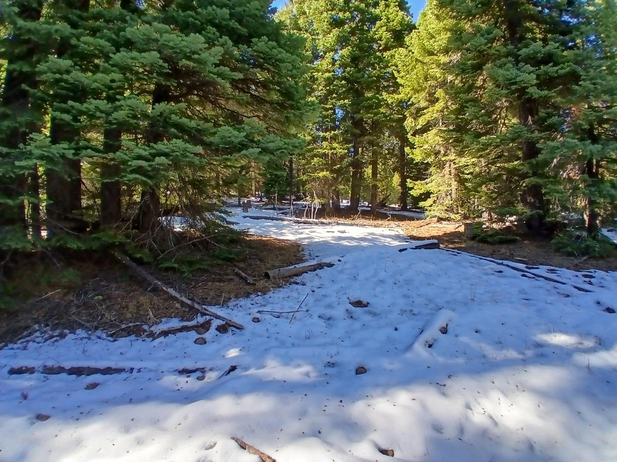 0.84 Acres for Sale in Alturas, California