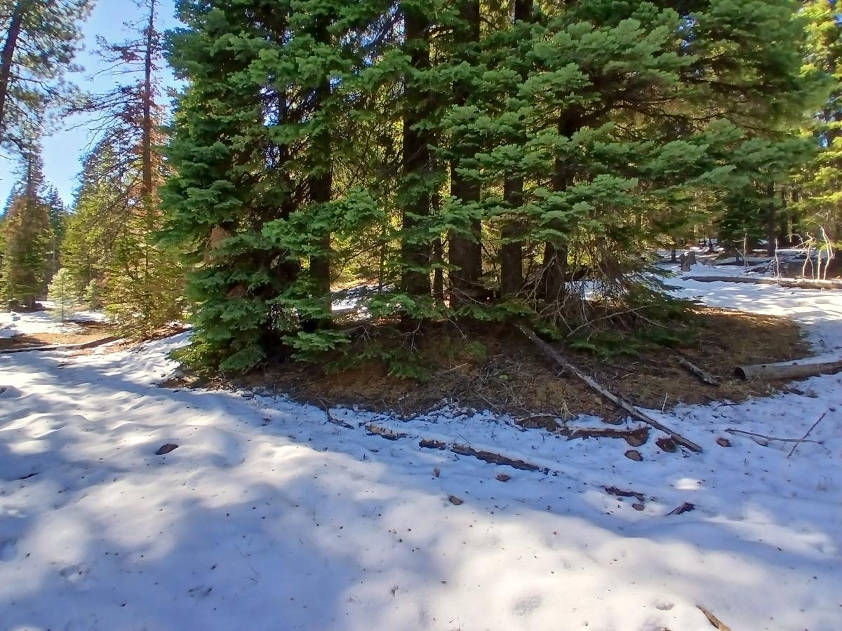 0.84 Acres for Sale in Alturas, California