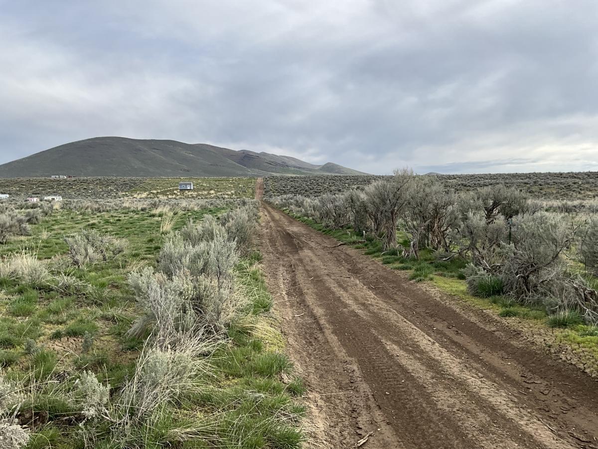 1.13 Acres for Sale in Spring Creek, Nevada