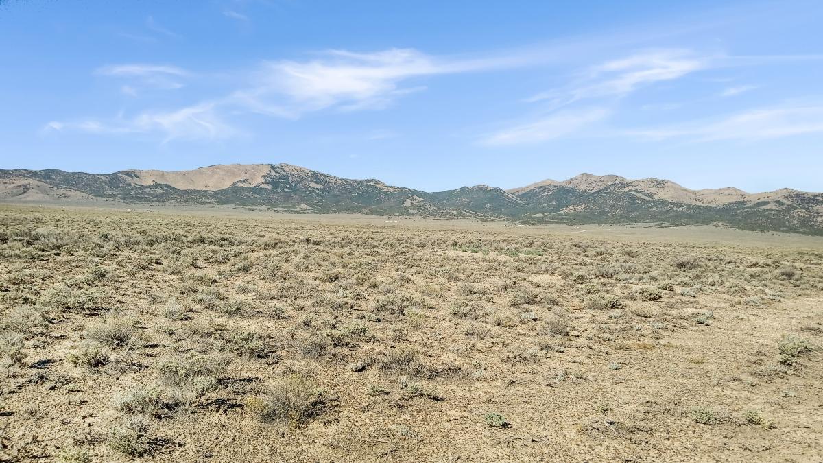 2.07 Acres for Sale in Ryndon, Nevada