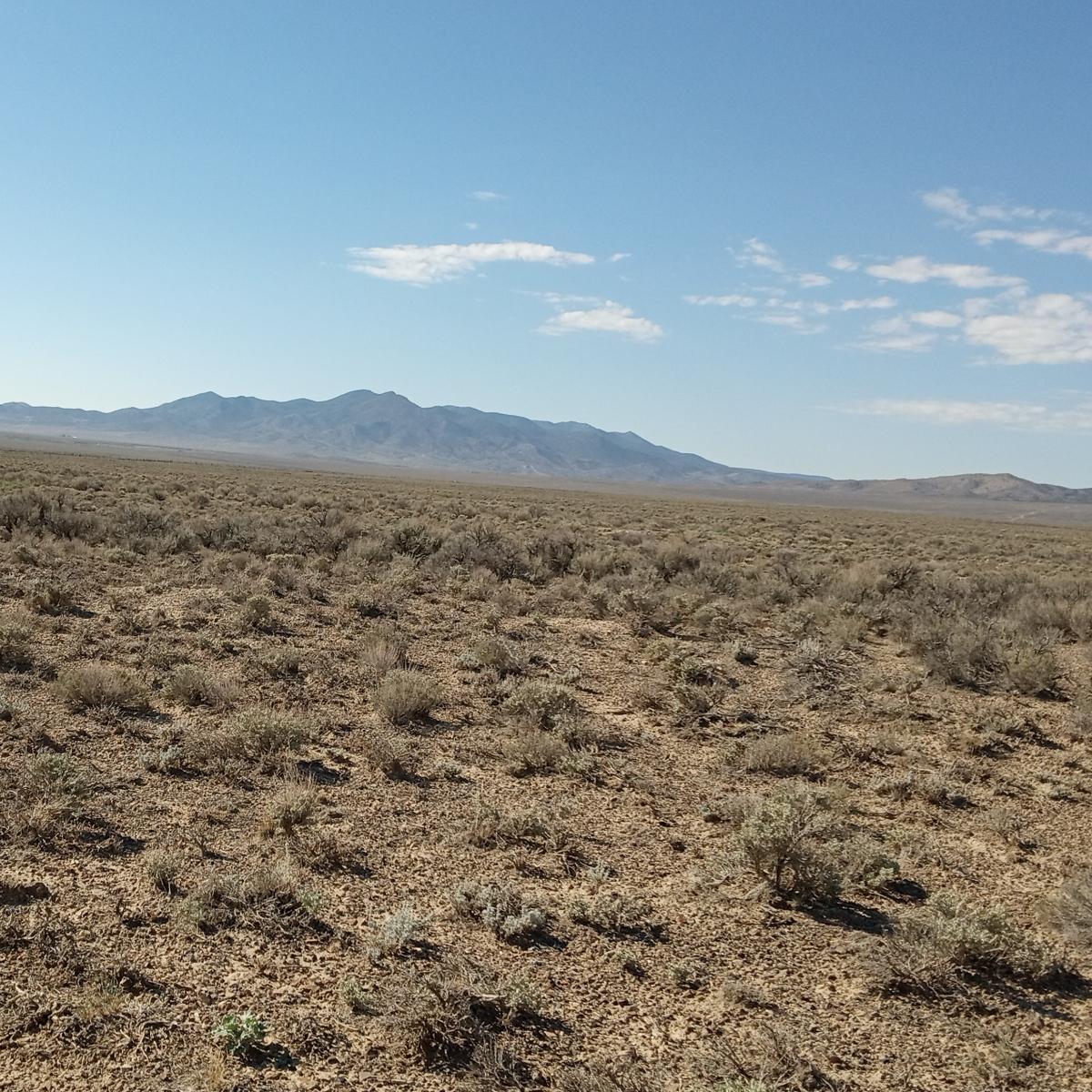 2.27 Acres for Sale in Loray, Nevada