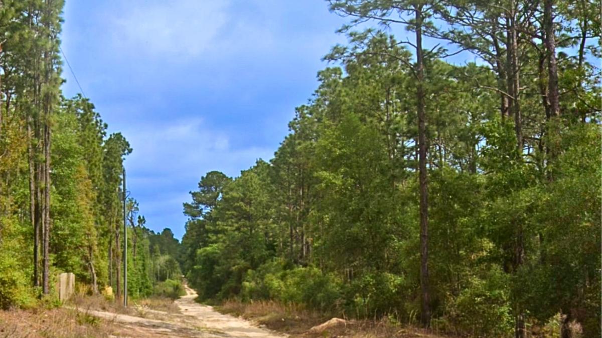 0.23 Acres for Sale in Satsuma, Florida