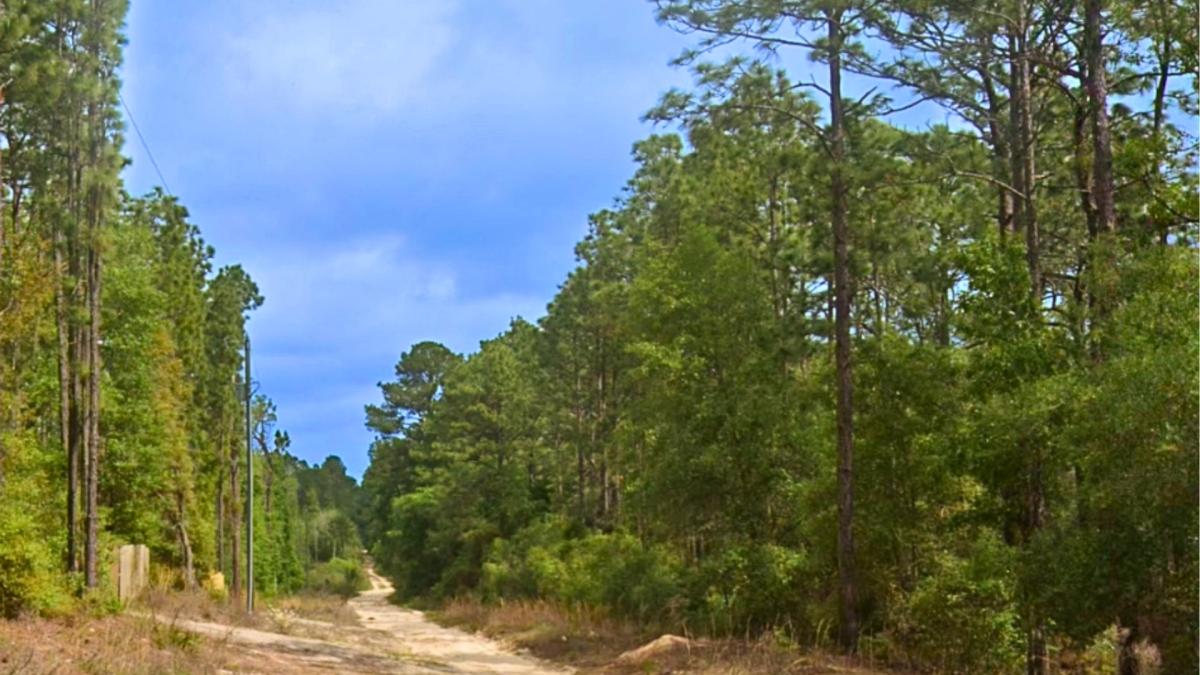 0.23 Acres for Sale in Satsuma, Florida