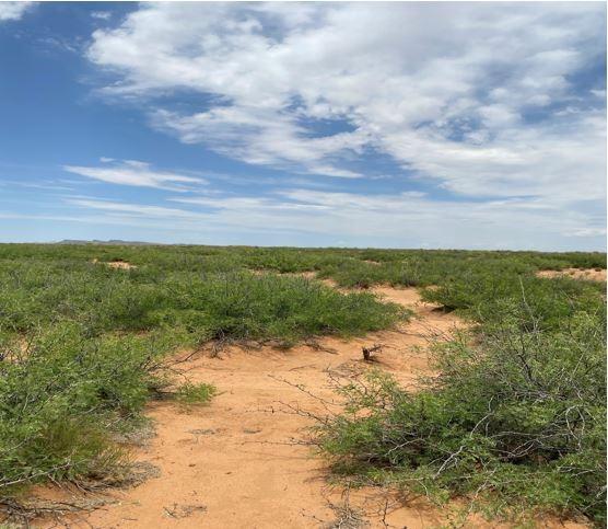 4.65 Acres for Sale in Deming, New Mexico