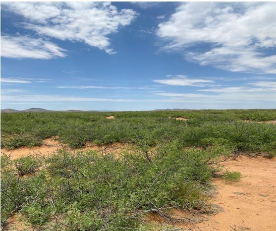 4.65 Acres for Sale in Deming, New Mexico