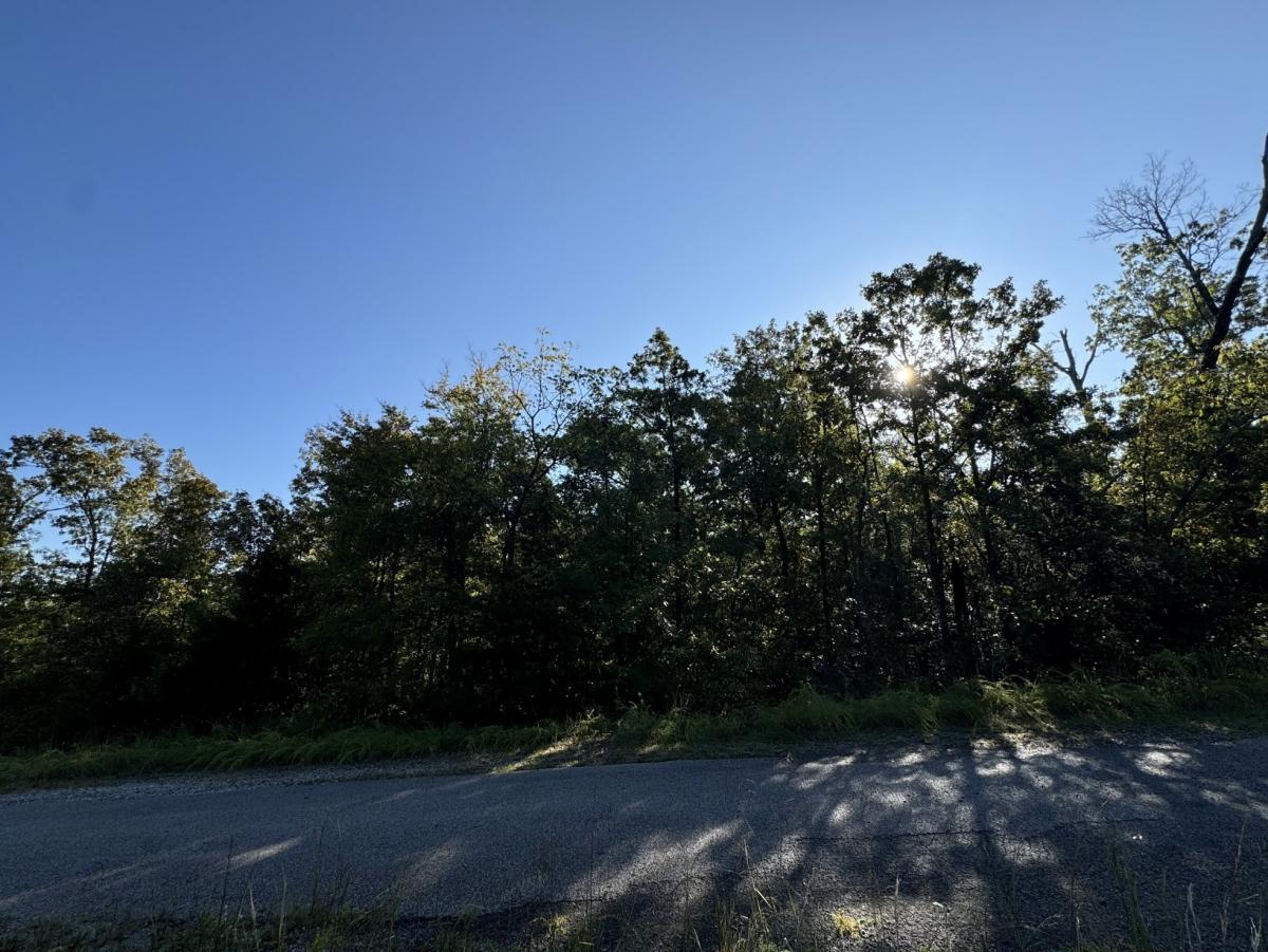 0.65 Acres for Sale in Horseshoe Bend, Arkansas