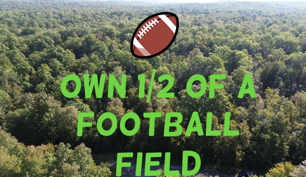 0.65 Acres for Sale in Horseshoe Bend, Arkansas