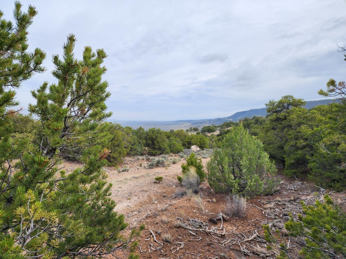 1.15 Acres for Sale in San Luis, Colorado