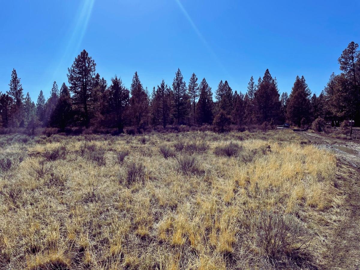 1.6 Acres for Sale in Sprague River, Oregon