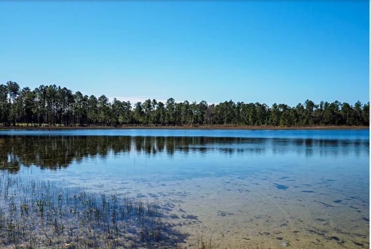 0.22 Acres for Sale in Interlachen, Florida