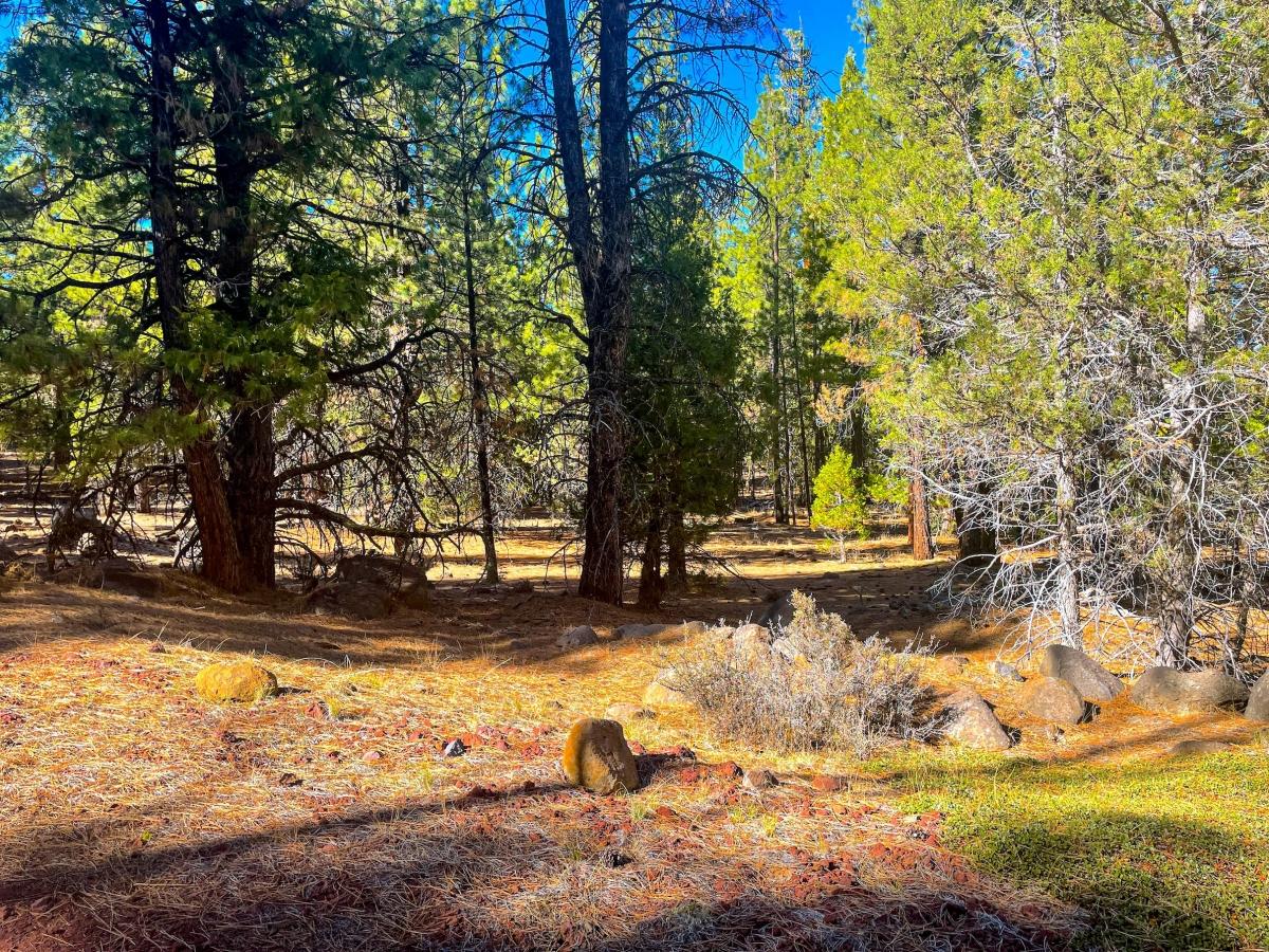 1.02 Acres for Sale in Alturas, California