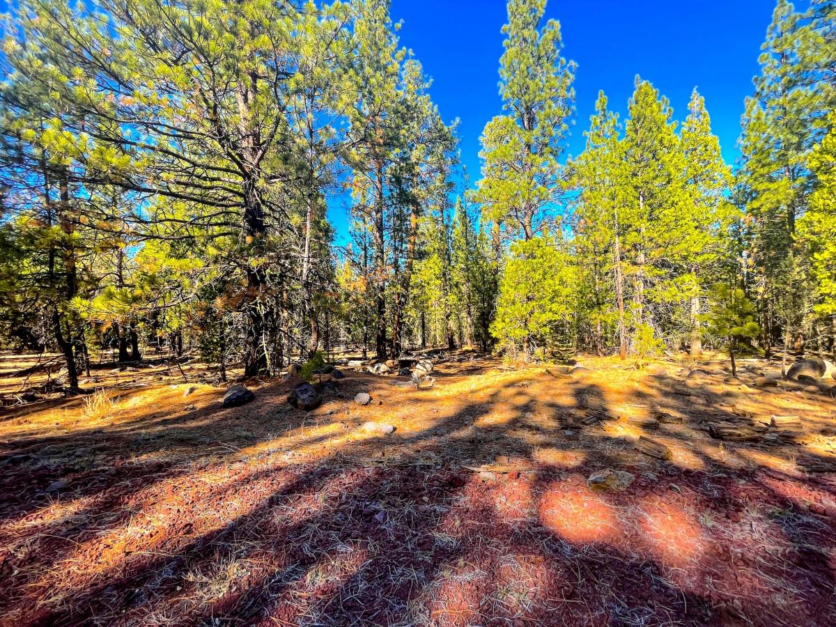 1.02 Acres for Sale in Alturas, California