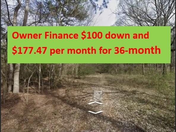 0.22 Acres for Sale in Bullard, Texas