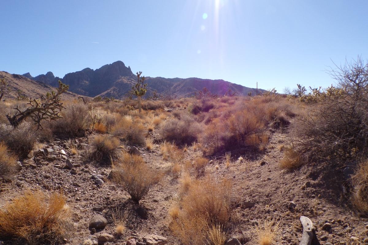 1.07 Acres for Sale in Dolan Springs, Arizona