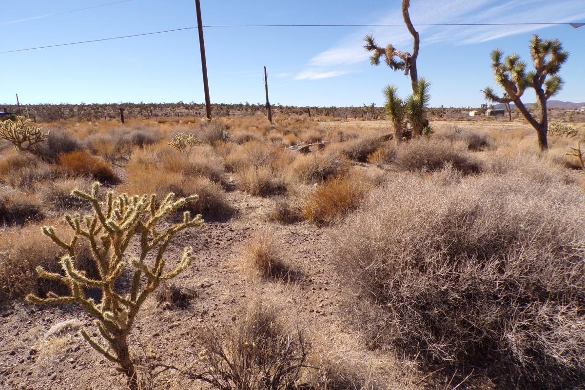 1.07 Acres for Sale in Dolan Springs, Arizona