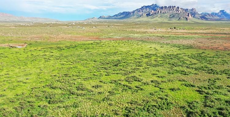 1.5 Acres for Sale in Deming, New Mexico