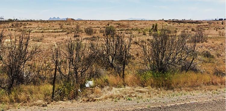 1.5 Acres for Sale in Deming, New Mexico