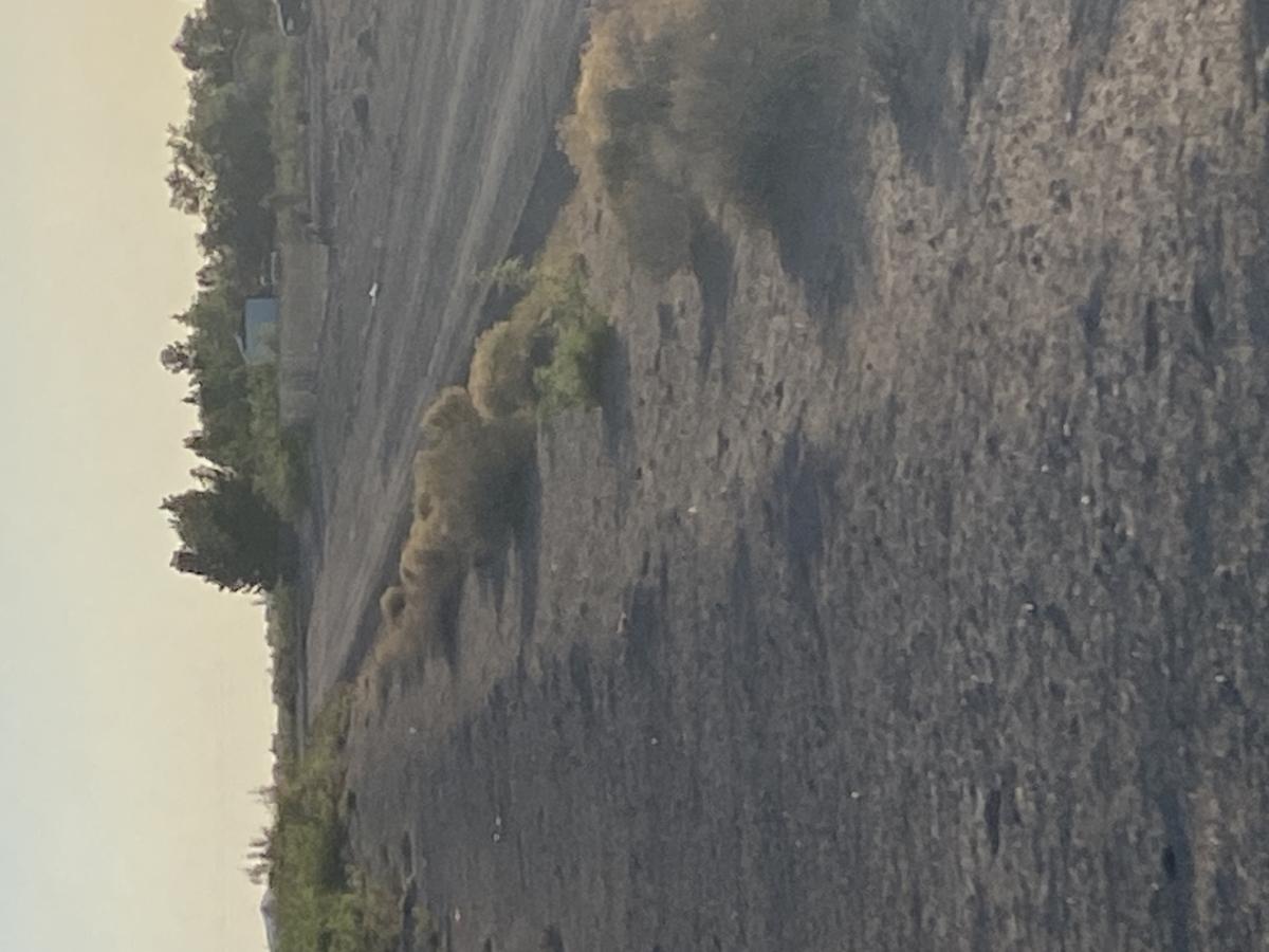 1.5 Acres for Sale in Deming, New Mexico