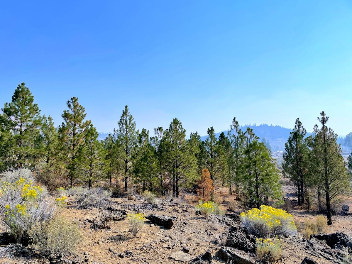 2.6 Acres for Sale in Chiloquin, Oregon