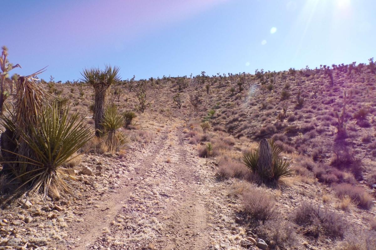 1.07 Acres for Sale in Dolan Springs, Arizona