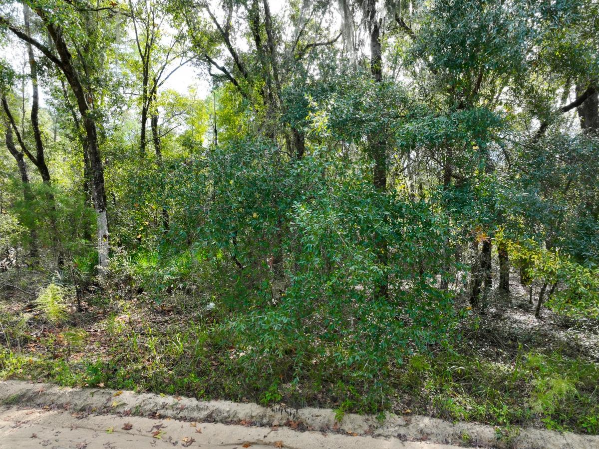 0.28 Acres for Sale in Florahome, Florida