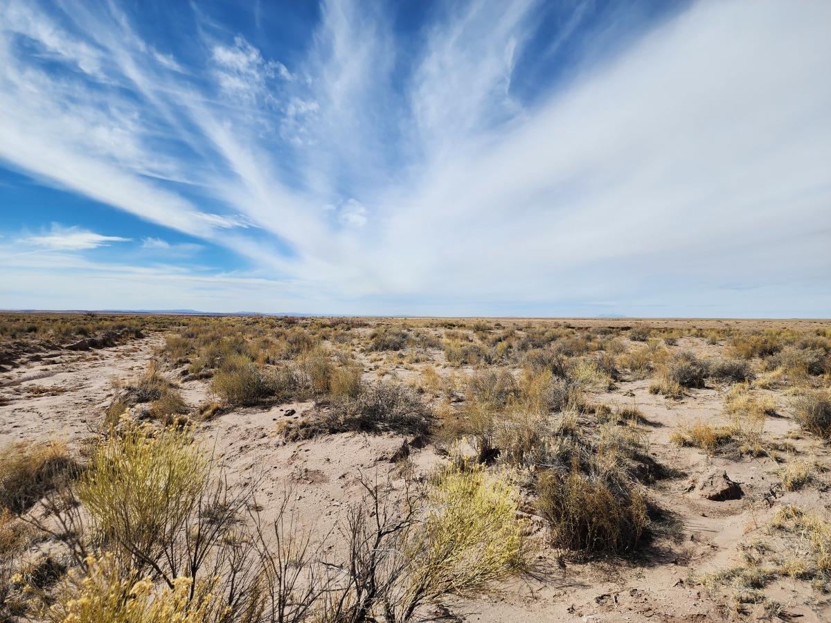 10.00 Acres for Sale in Joseph City, Arizona