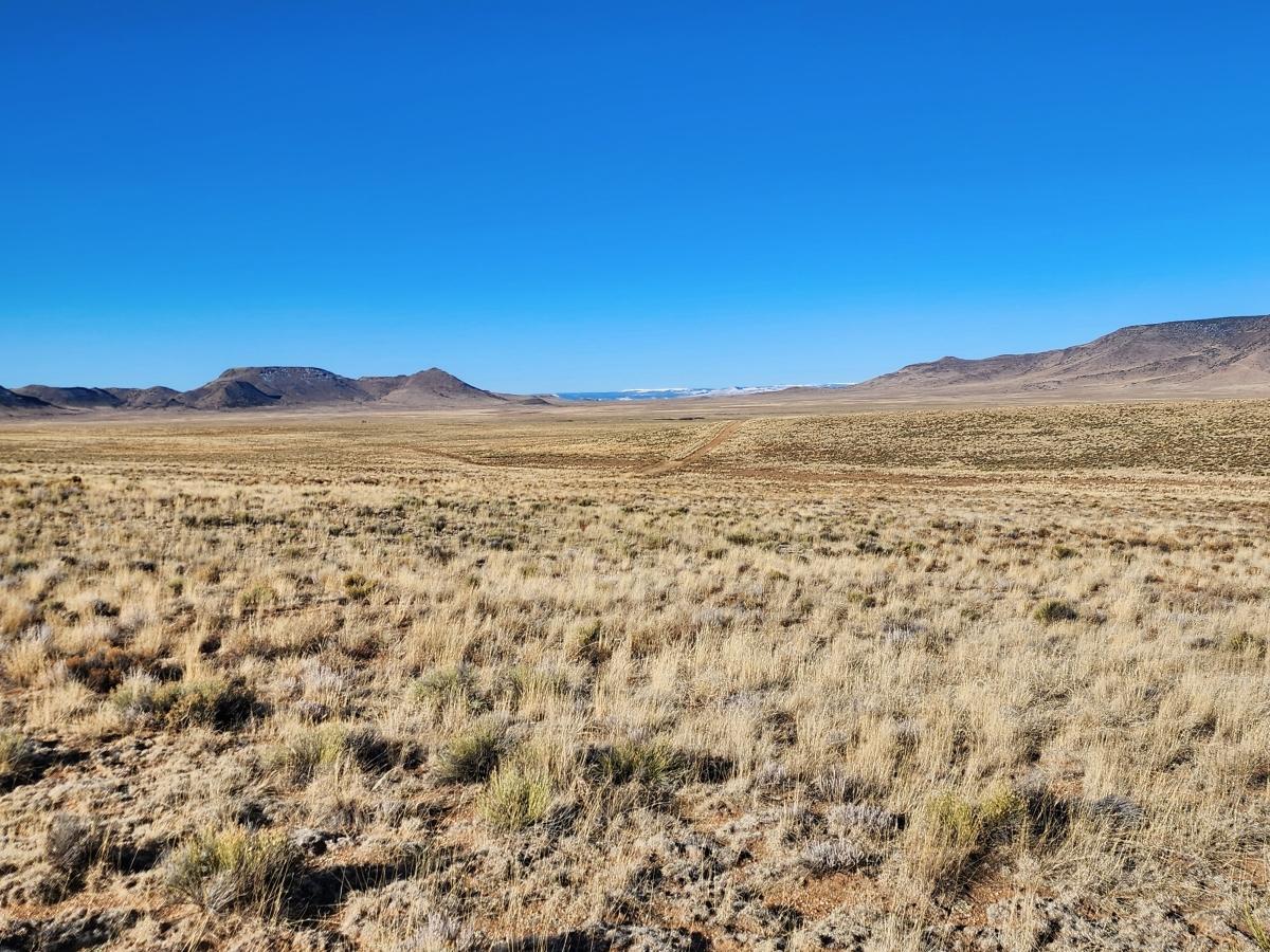 10 Acres for Sale in Mesita, Colorado