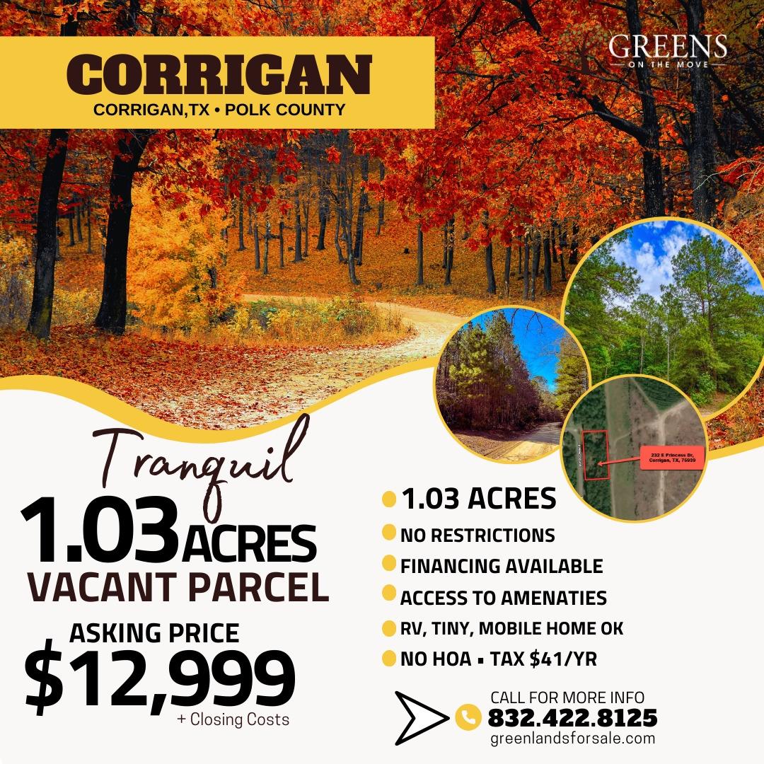 1.03 Acres for Sale in Corrigan, Texas