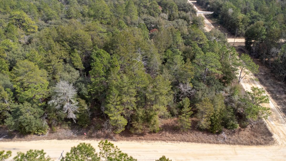 0.22 Acres for Sale in Interlachen, Florida