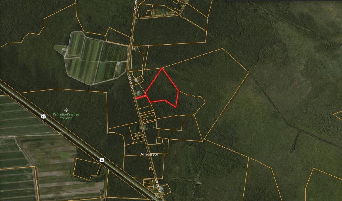 17 Acres for Sale in Columbia, North Carolina