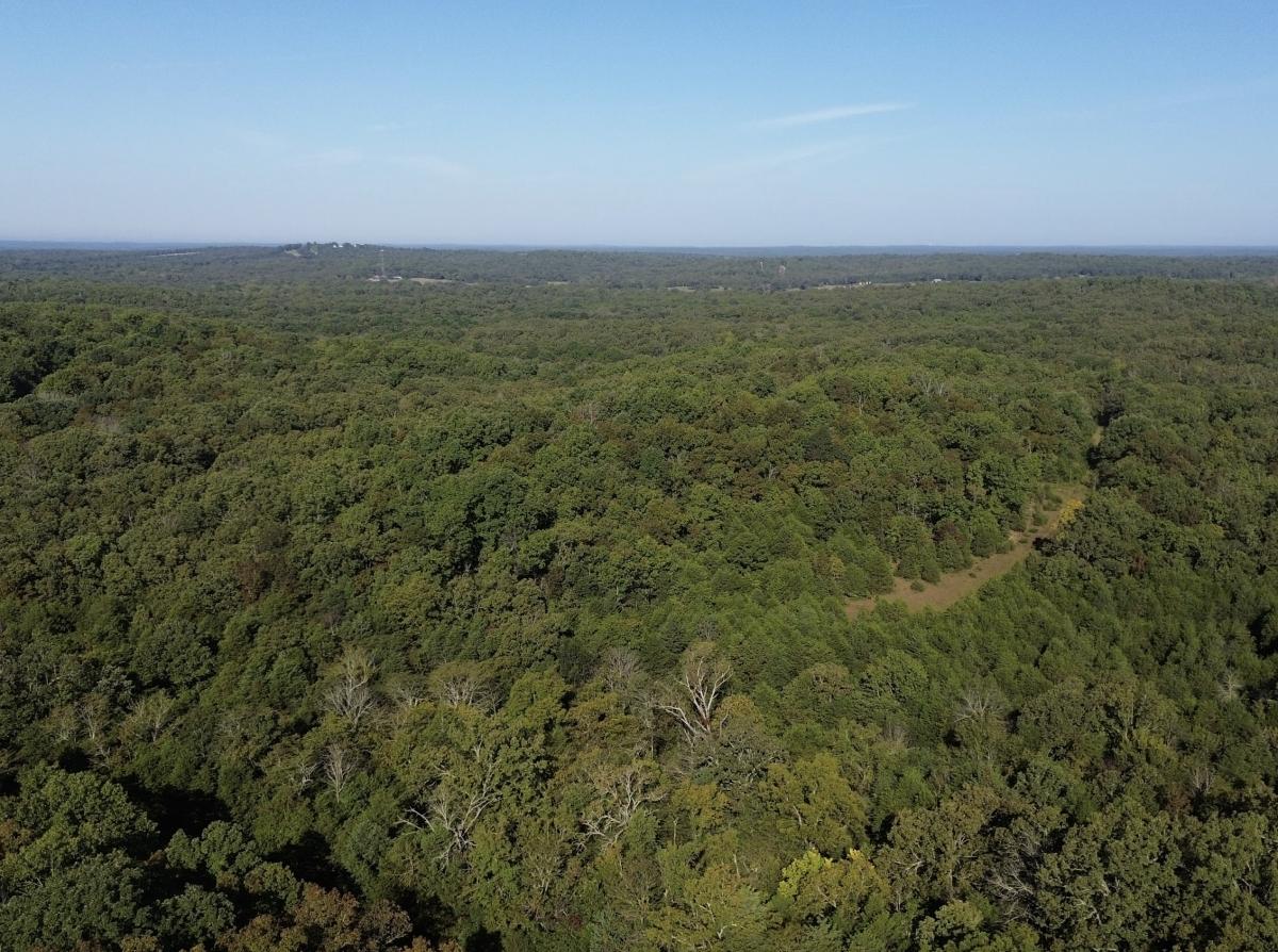 0.31 Acres for Sale in Horseshoe Bend, Arkansas