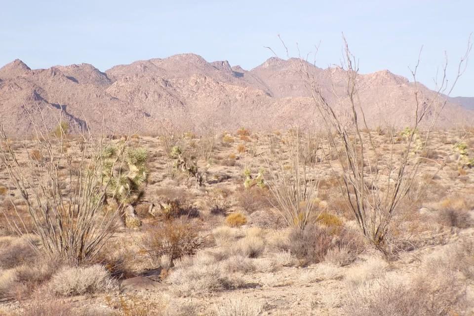 1.46 Acres for Sale in Yucca, Arizona