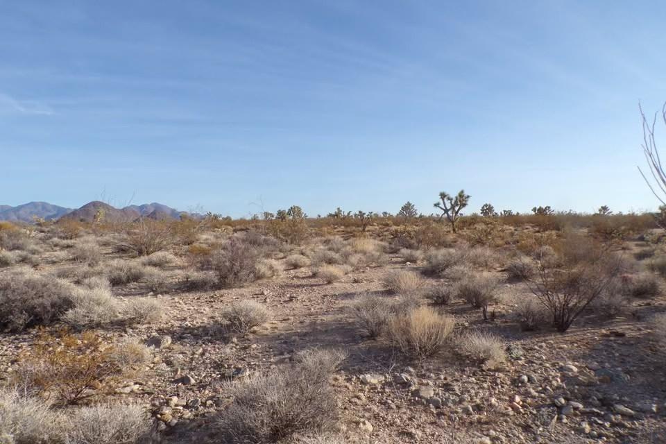1.46 Acres for Sale in Yucca, Arizona