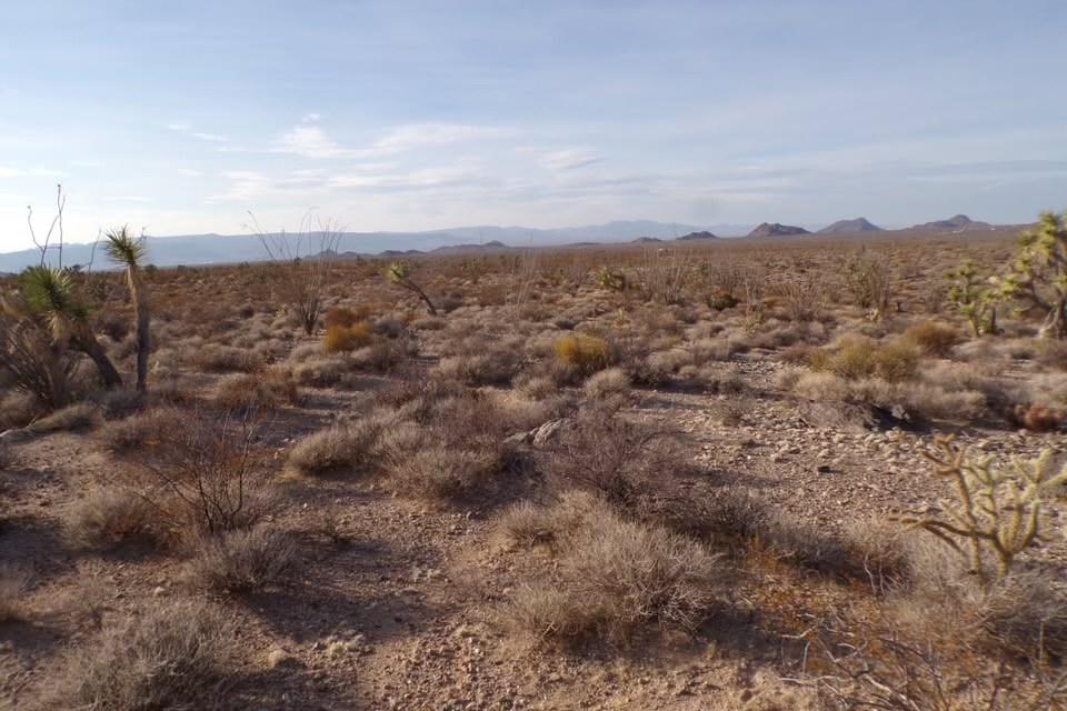1.46 Acres for Sale in Yucca, Arizona