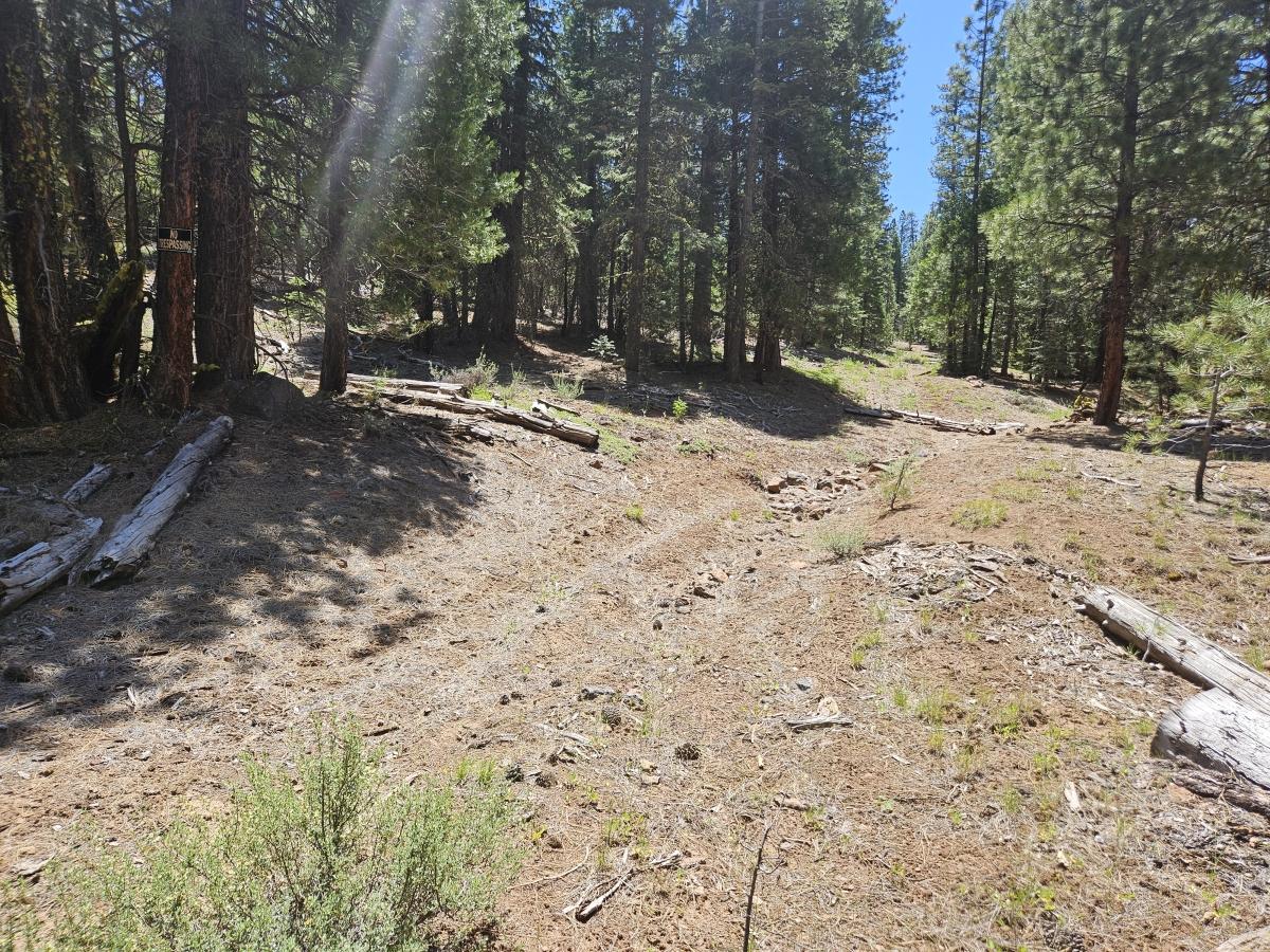 1.04 Acres for Sale in Alturas, California