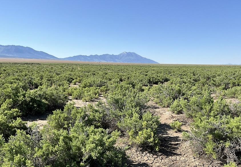10.00 Acres for Sale in Montello, Nevada